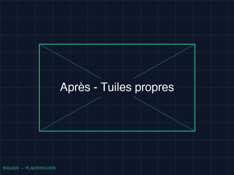 Résultat nettoyage toiture Seignosse