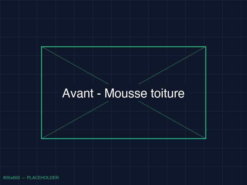 Toiture couverte de mousse avant nettoyage - Villa Hossegor