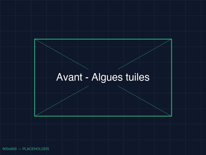 Tuiles noircies par les algues - Capbreton