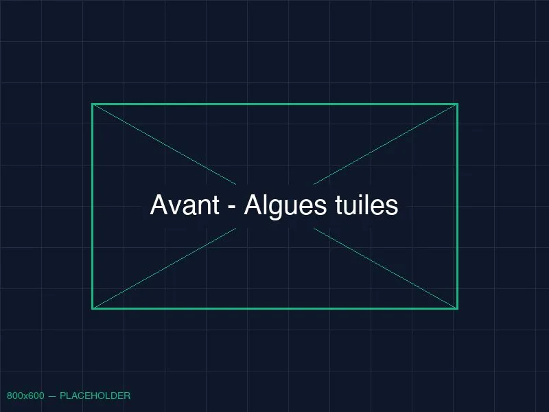 Tuiles noircies par les algues - Capbreton